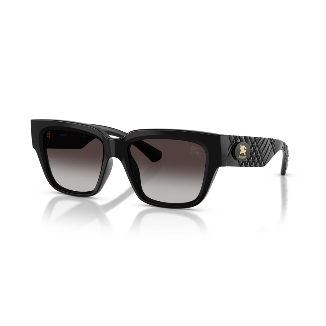 BE4506U
